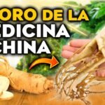 ¡Descubre cómo plantar ginseng y potenciar tu salud!