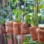 10 plantas ideales para cultivar en macetas en tu huerto urbano