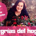 Descubre cómo sembrar alegrías en tu hogar con estos simples consejos