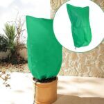 6 protectores de plantas contra heladas para mantener tu jardín a salvo del frío