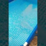 Descubre el secreto del espacio perfecto para cultivar repollo y maximiza tu cosecha ¡No te lo puedes perder!