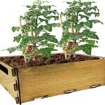 PLANTAWA Kit de Siembra para Tomates, Kit de Cultivo para Huerto Urbano, Jardinera Interior para Casa, Kit Cultivo de Plantas Naturales Tomates Frescos