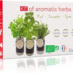 Cultivea® Kit Completo de Hierbas – Cultiva Tus propias Hierbas aromáticas – 100% ecológicas: Semillas orgánicas – Decora tu hogar con un huerto Urbano. (Menta, Cilantro, Tomillo) caja de kit con tres frascos de cristal, capas de sustrato y etiquetas mostrando plantas de menta, cilantro y tomillo para cultivo doméstico.