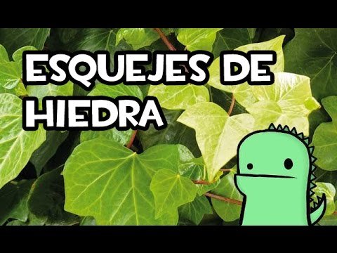Descubre cómo plantar coberturas de hiedra de forma fácil y rápida