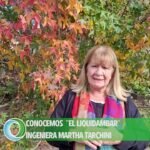 Descubre cómo plantar alazanes y disfruta de su belleza en tu jardín