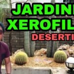 Guía completa: Cómo plantar cactus de cardón en tu jardín