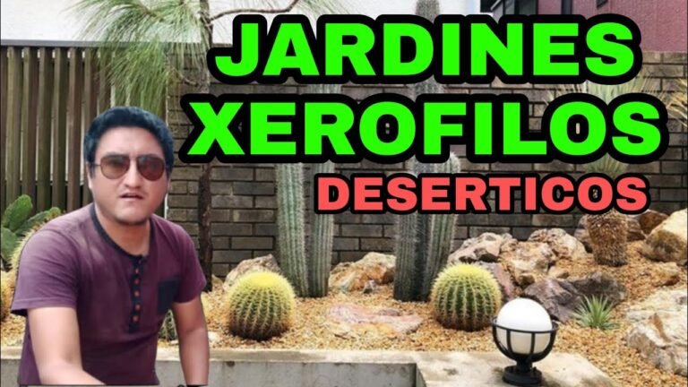 Guía completa: Cómo plantar cactus de cardón en tu jardín