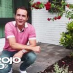¡Descubre cómo plantar Dipsacus y embellece tu jardín fácilmente!