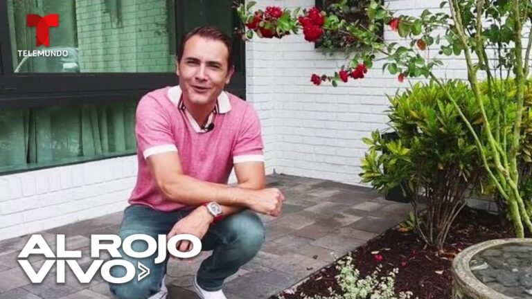 ¡Descubre cómo plantar Dipsacus y embellece tu jardín fácilmente!