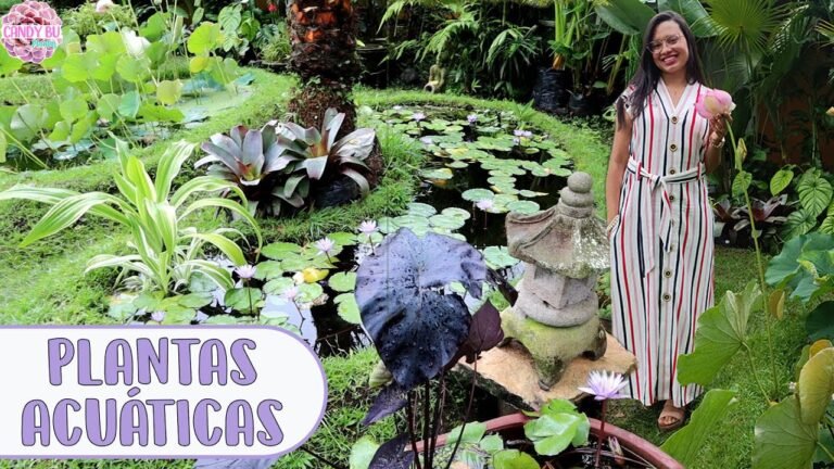 ¡Descubre cómo plantar Pontederias como un experto en jardinería!
