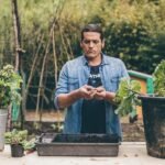 Cómo plantar raíces de ruibarbo para cultivar tu jardín