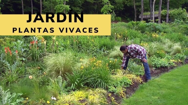 Plantar índigos y crear un jardín espectacular en casa