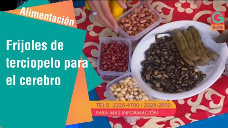 Plantar Velvet Beans en tu jardín: plato y recipientes con distintos frijoles y semillas de terciopelo sobre un mantel colorido.