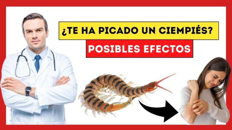 Ciempiés: Identificación, control y prevención eficaz de este insecto de muchas patas