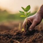 ¡A sembrar en abril! Descubre qué plantar en Andalucía