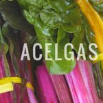Cultiva tus propias acelgas rojas: ¡guía paso a paso! Manojo de acelgas con hojas verdes y tallos rosados y amarillos atados con lazo amarillo.