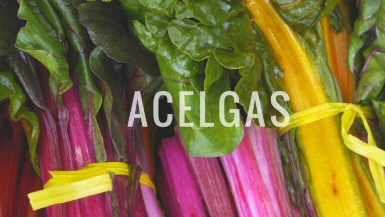 Cultiva tus propias acelgas rojas: ¡guía paso a paso!