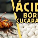 acido borico