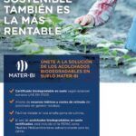 Acompaña tus calabazas con estas plantas aliadas