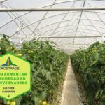 Aprende a cultivar fresas en invernadero de forma fácil y efectiva