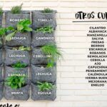 ¡Aprende a cultivar fresas en macetas colgantes con éxito!