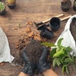 Aprende a plantar con tus niños: Guía paso a paso