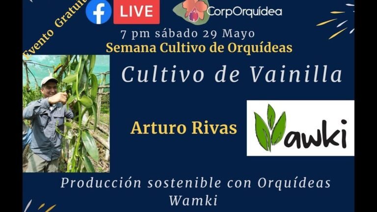 Aprende a plantar eneldos como un experto en jardinería