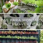 Aprende a plantar fresas en casa: guía fácil y práctica
