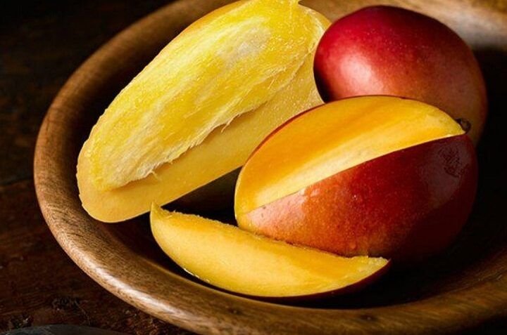 aprende a plantar mango facilmente paso a paso