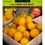 ¡Aprende a plantar tomate cherry desde la semilla!