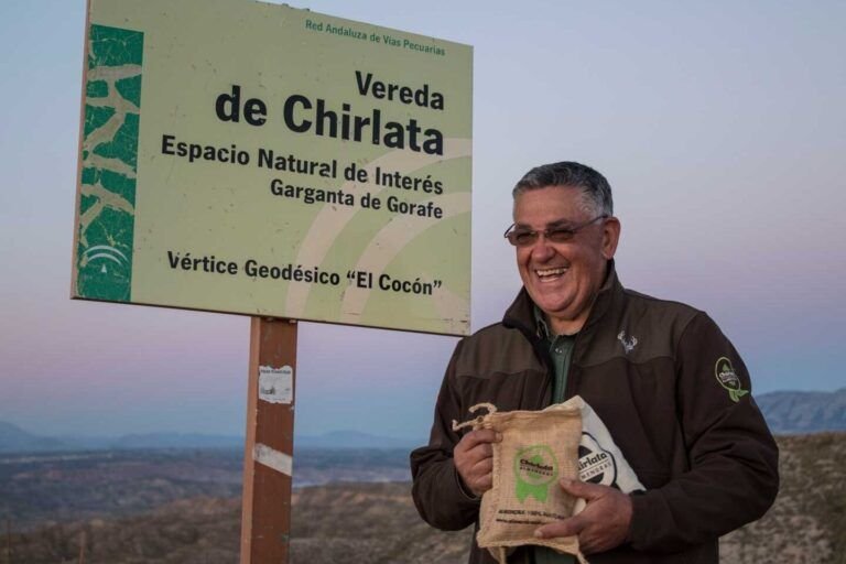 aprende a plantar un almendro desde cero con una almendra