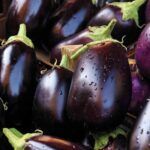 Aprende a sembrar berenjenas en casa: tips y consejos