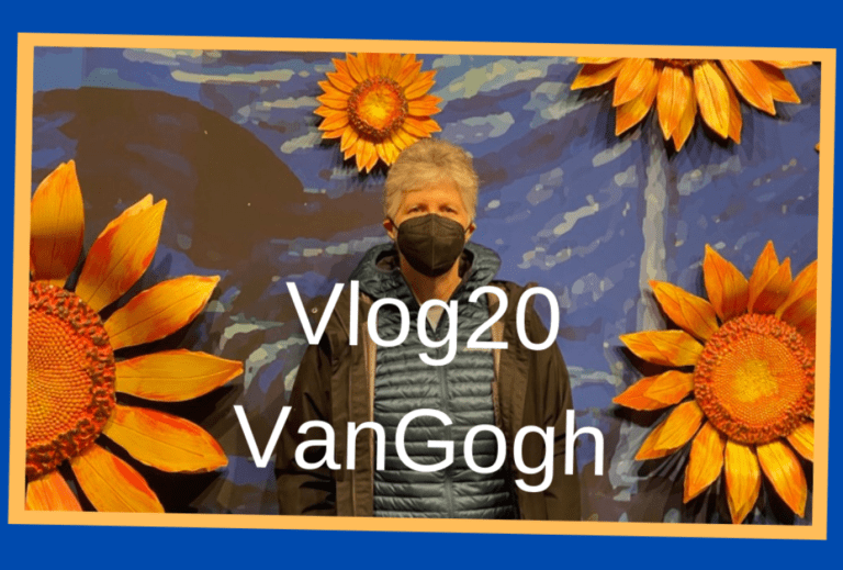 aprende a sembrar girasoles en casa guia facil y practica