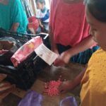 Aprende a sembrar maíz fácilmente: Paso a paso