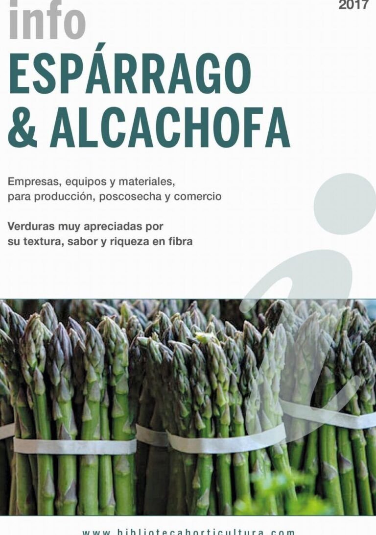 aprende a sembrar mandarinas consejos y pasos clave