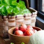 ¡Aprovecha el invierno! Descubre qué sembrar en diciembre y enero