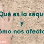 ¡Aprovecha el verano! Descubre qué sembrar en junio en Andalucía