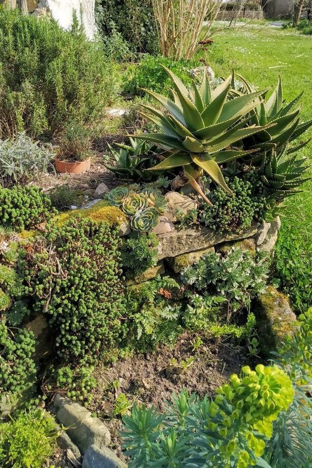 aprovecha mayo en asturias para sembrar tu huerto con estas plantas