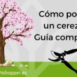 arbol cerezo