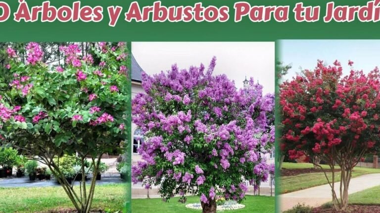 arboles arbustos