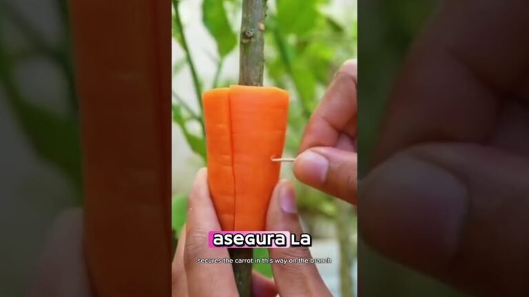 arboles citricos