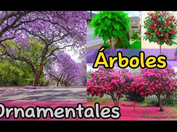 arboles florecen