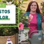 arboles flores