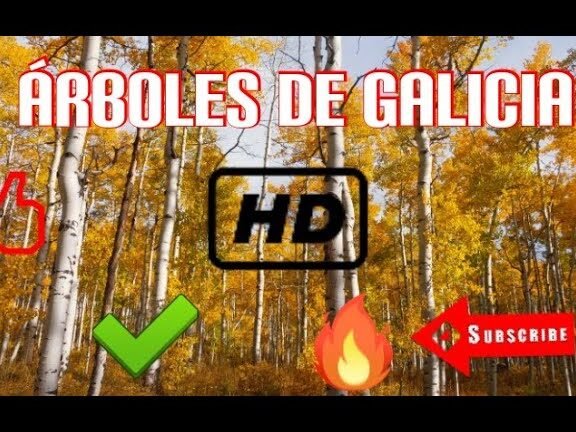 Descubre qué árboles se pueden plantar en Galicia: Una guía completa