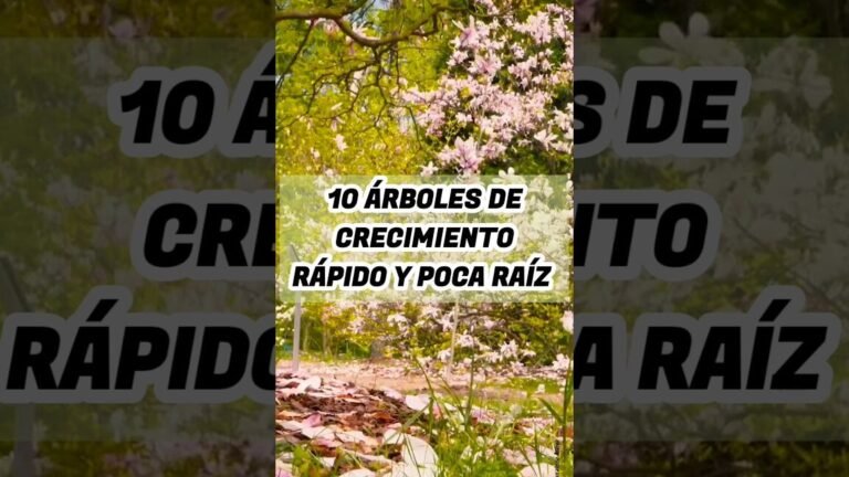 arboles hoja