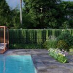 Árboles para jardines pequeños: descubre las mejores opciones