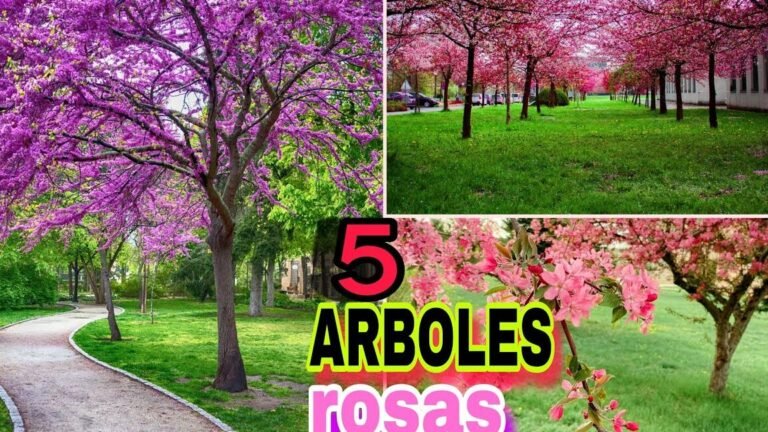 arboles rosa