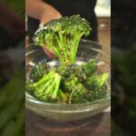 Descubre los 28 tipos de brócoli que transformarán tu huerto este año