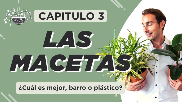 Cómo plantar macas en tu jardín