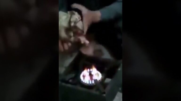 Descubre el secreto para eliminar el cardo de cabra y proteger tu jardín de la punción venenosa